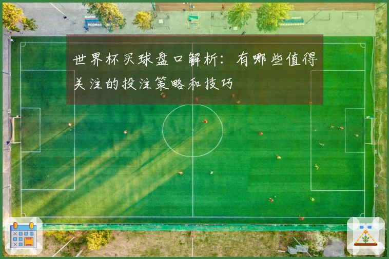 世界杯买球盘口解析：有哪些值得关注的投注策略和技巧