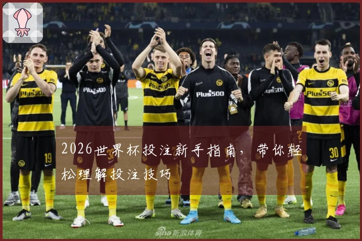 2026世界杯投注新手指南，带你轻松理解投注技巧