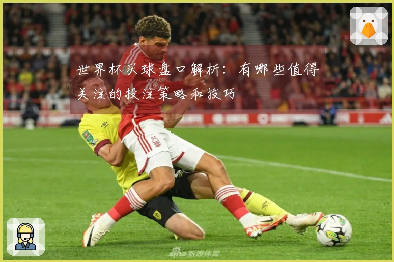 世界杯买球盘口解析：有哪些值得关注的投注策略和技巧