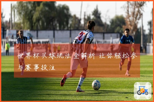 世界杯买球玩法全解析 让你轻松参与赛事投注
