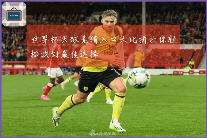 世界杯买球竞猜入口大比拼让你轻松找到最佳选择