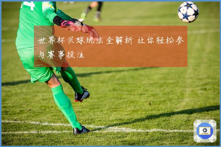 世界杯买球玩法全解析 让你轻松参与赛事投注